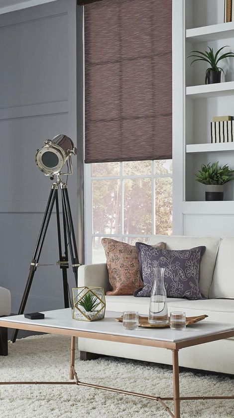 Living room with modern lutron shades