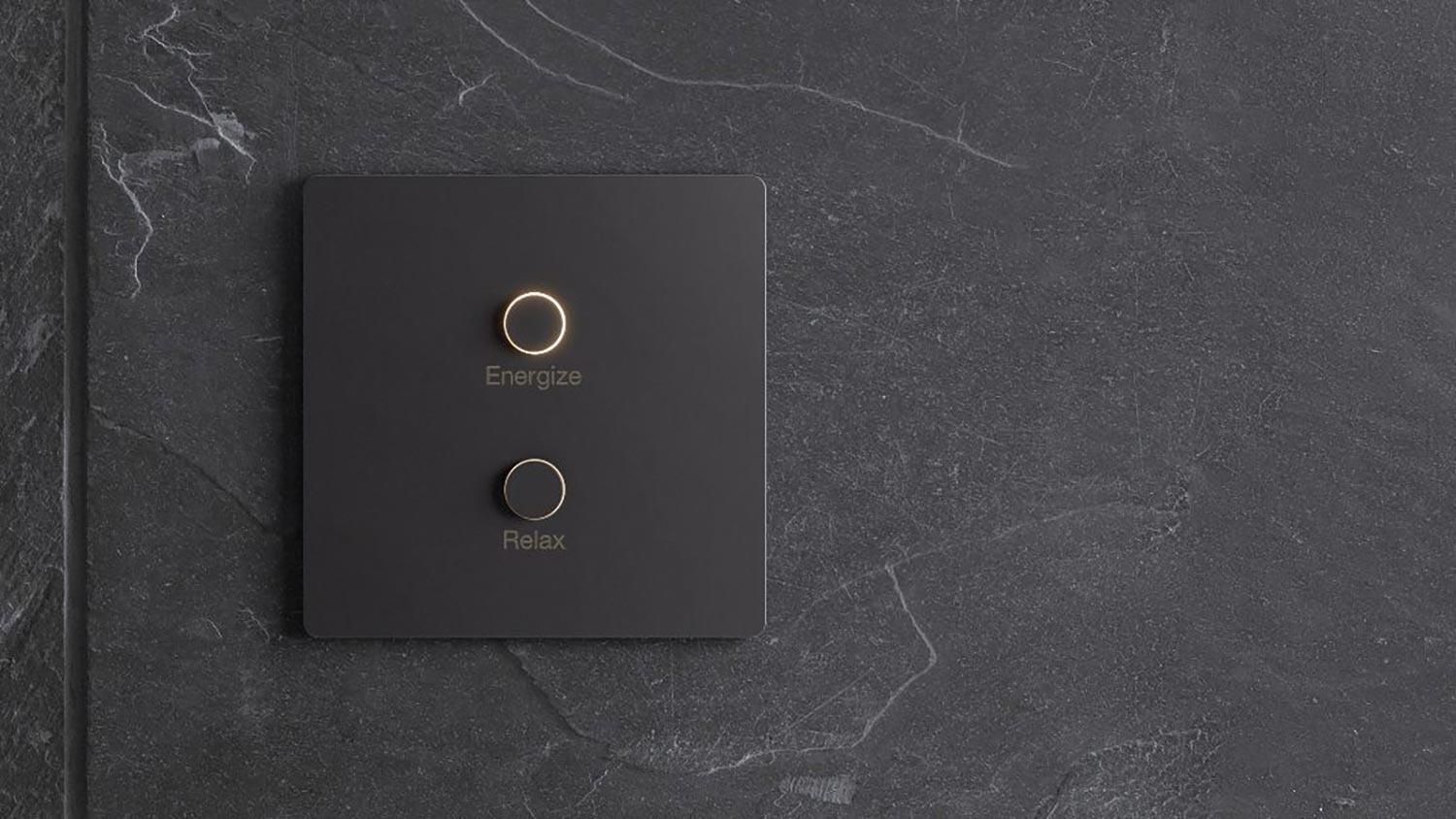 Black Lutron homeworks keypad